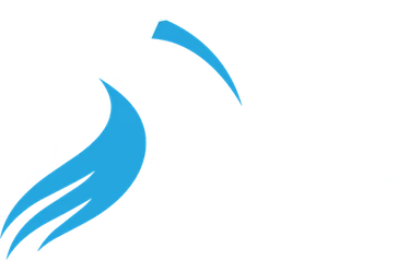 Ibis Repair Group