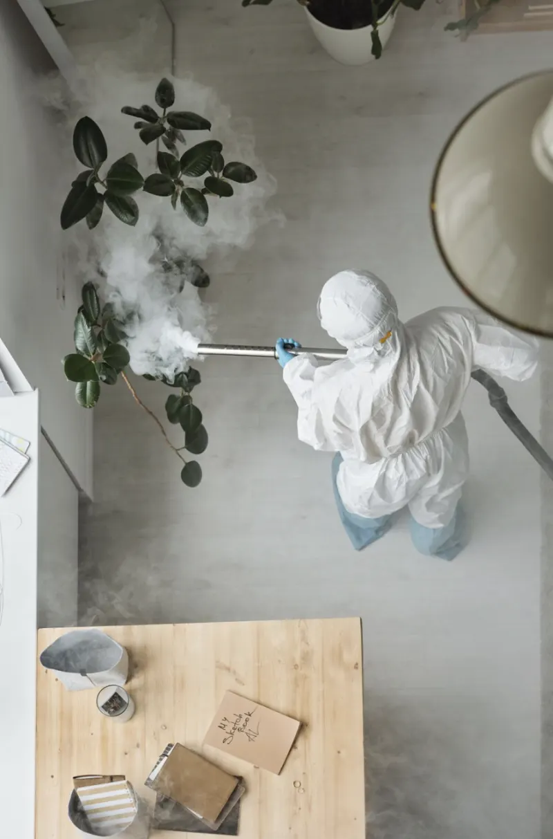 Termite treatment and prevention — South Florida