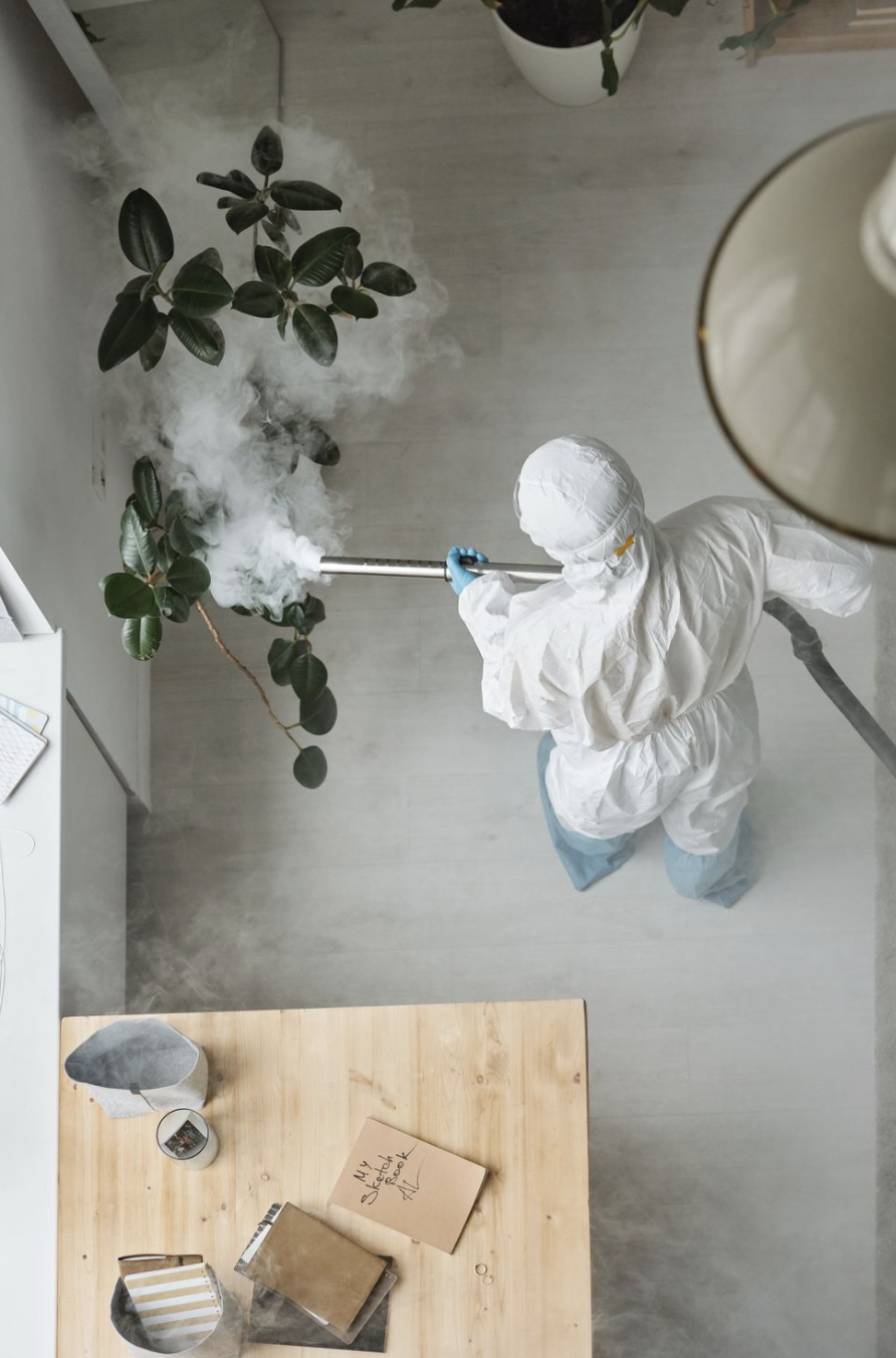 Termite treatment and prevention — South Florida